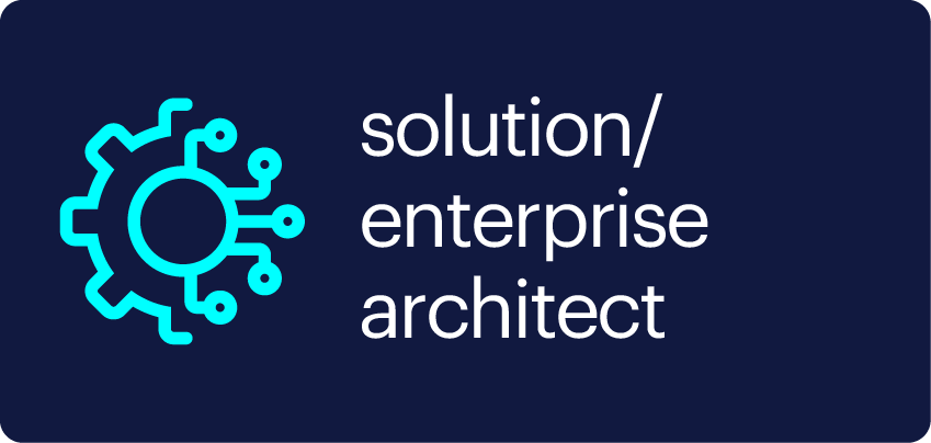 Solution/enterprise architect