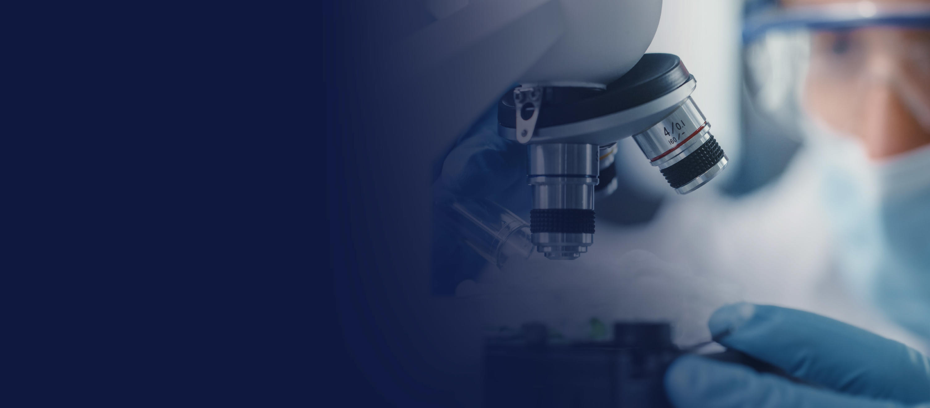 healthcare & life sciences
