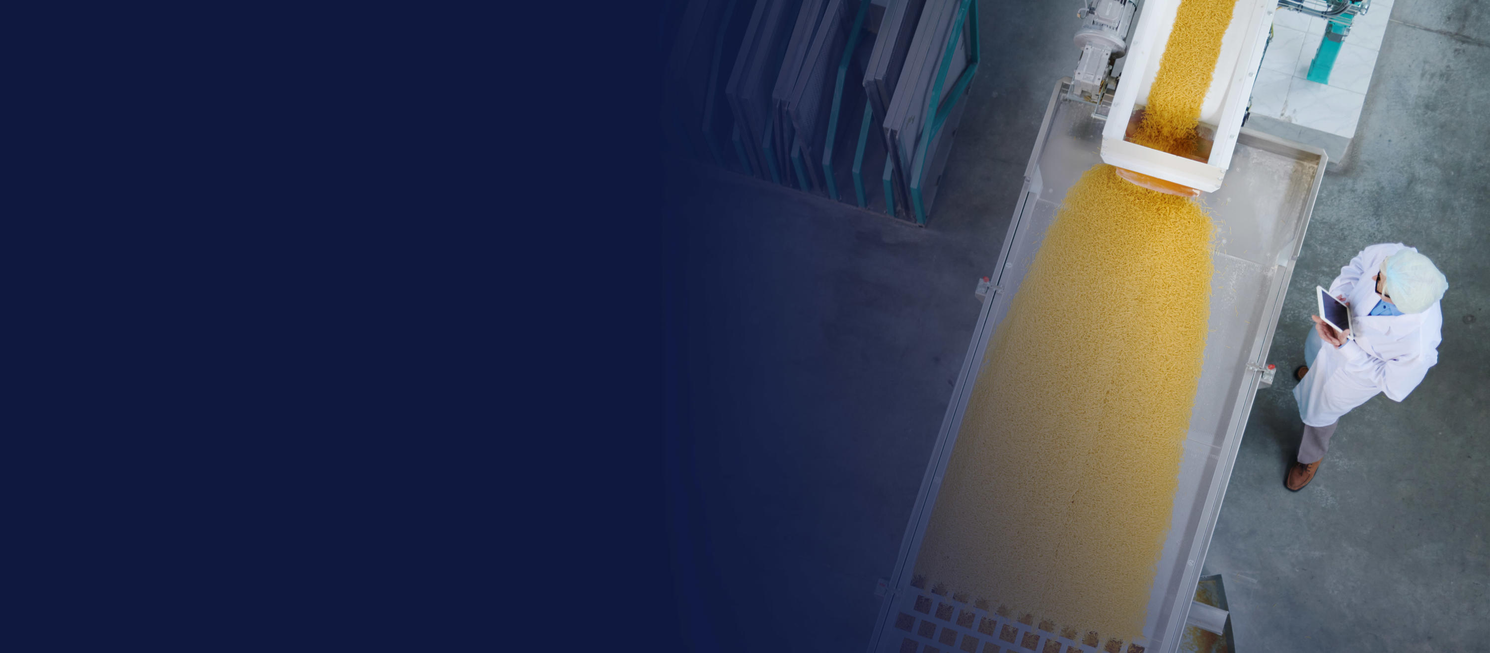 SAP implementation for a global leader in food manufacturing
