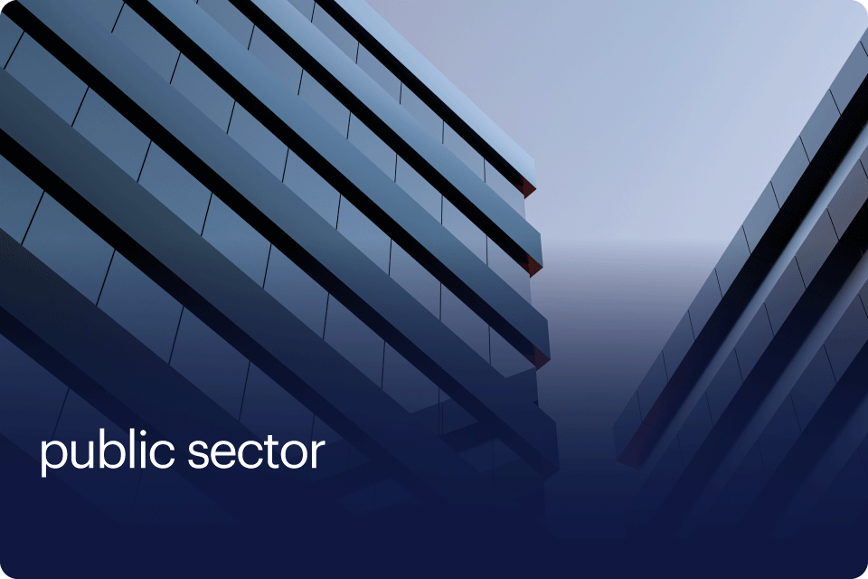 public sector 