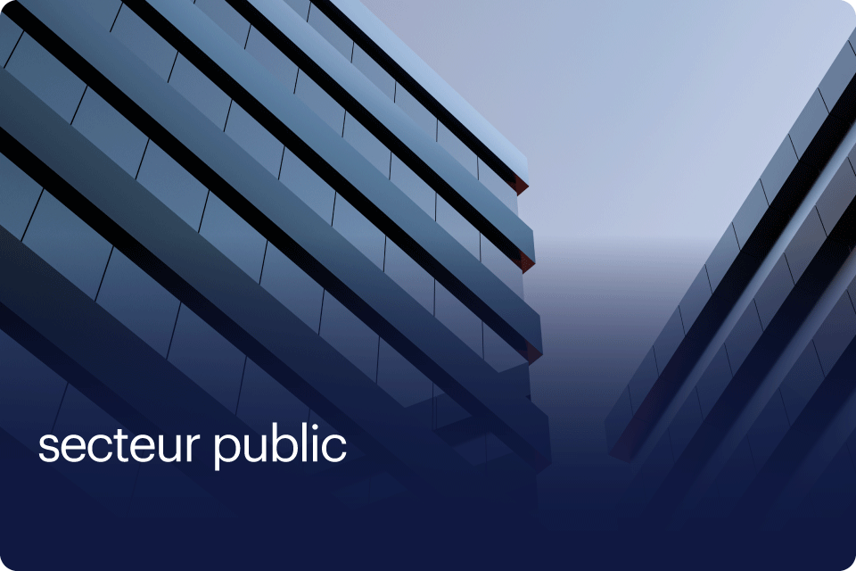 public sector