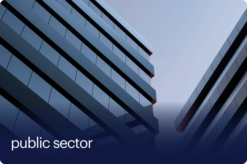 public sector
